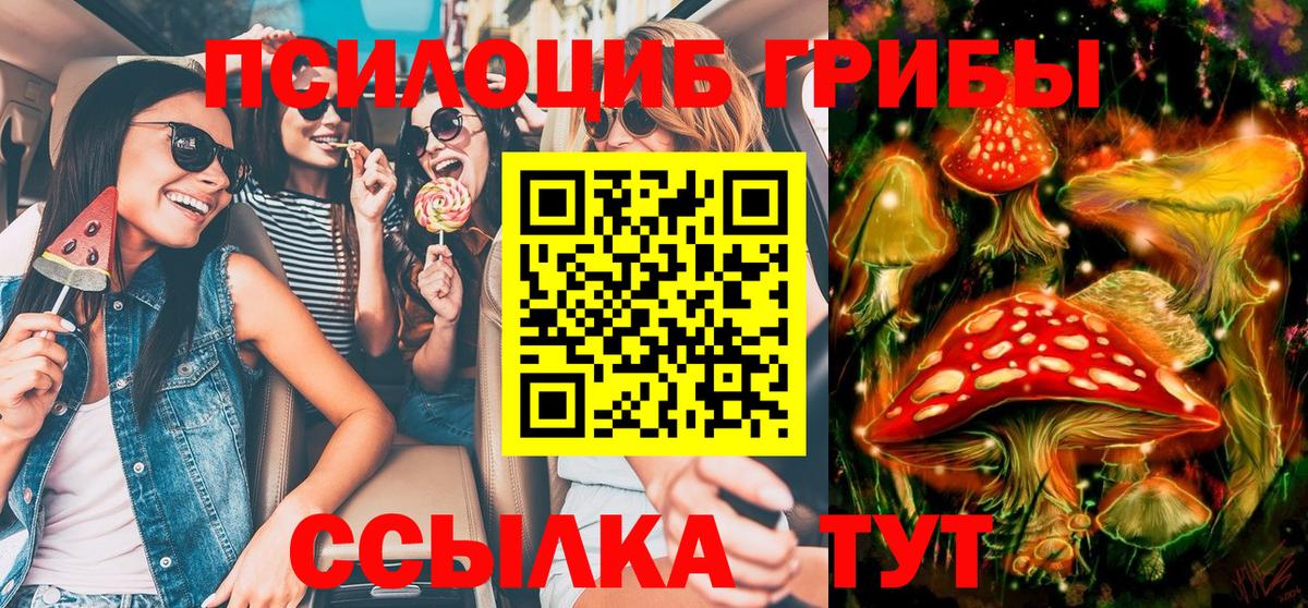 Галлюциногенные грибы Magic Shrooms Строитель